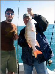 Shallow Water Mutton Snappers - Fishing Key West